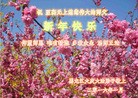 ֹ,󷨵ӹףʦ(25)
