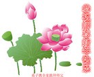ֹ,ʴ󷨵ӹףʦ(28)
