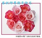 Published on 2/7/2016 ���ֹ�,��½�󷨵��ӹ�ףʦ������(27��)

