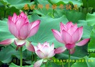 ֹ,ൺ󷨵ӹףʦ(28)
