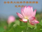 Published on 2/7/2016 ���ֹ�,��½�󷨵��ӹ�ףʦ������(27��)
