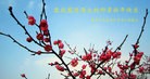 Published on 2/7/2016 ���ֹ�,��½�󷨵��ӹ�ףʦ������(27��)
