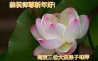 Published on 2/7/2016 ���ֹ�,��½�󷨵��ӹ�ףʦ������(27��)
