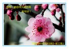 ֹ,󷨵ӹףʦ(27)
