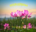 ֹ,󷨵ӹףʦ(24)
