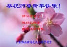 法轮功,广东大法弟子恭祝师尊过年好(30条)
