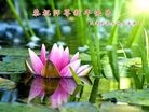 ֹ,󷨵ӹףʦ(29)
