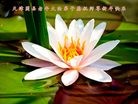 ֹ,󷨵ӹףʦ(29)
