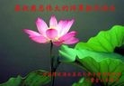 ֹ,󷨵ӹףʦ(26)

