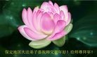 ֹ,󷨵ӹףʦ(26)
