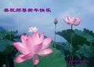 ֹ,ϴ󷨵ӹףʦ(28)
