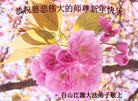 Published on 2/8/2016 ���ֹ�,��½�󷨵��ӹ�ףʦ������(34��)
