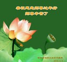 Published on 2/8/2016 ���ֹ�,��½�󷨵��ӹ�ףʦ������(39��)
