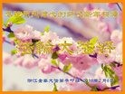 Published on 2/8/2016 ���ֹ�,��½�󷨵��ӹ�ףʦ������(30��)
