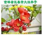 Published on 2/7/2016 ���ֹ�,��½�󷨵��ӹ�ףʦ������(30��)
