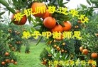 Published on 2/7/2016 ���ֹ�,��½�󷨵��ӹ�ףʦ������(30��)
