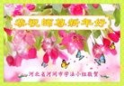 Published on 2/7/2016 ���ֹ�,��½�󷨵��ӹ�ףʦ������(35��)
