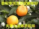 Published on 2/7/2016 ���ֹ�,��½�󷨵��ӹ�ףʦ������(35��)
