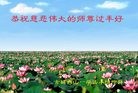 Published on 2/8/2016 ���ֹ�,��½�󷨵��ӹ�ףʦ������(29��)
