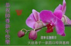 Published on 2/7/2016 ���ֹ�,��½�󷨵��ӹ�ףʦ������(27��)
