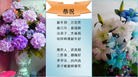 Published on 2/8/2016 ���ֹ�,��½�󷨵��ӹ�ףʦ������(39��)

