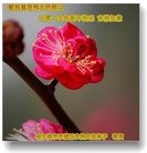 Published on 2/8/2016 ���ֹ�,��½�󷨵��ӹ�ףʦ������(39��)
