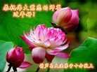 Published on 2/8/2016 ���ֹ�,��½�󷨵��ӹ�ףʦ������(38��)
