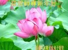 Published on 2/8/2016 ���ֹ�,��½�󷨵��ӹ�ףʦ������(36��)
