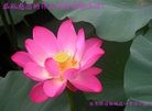 Published on 2/8/2016 ���ֹ�,��½�󷨵��ӹ�ףʦ������(29��)
