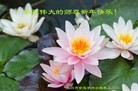 ֹ,人󷨵ӹףʦ(28)

