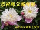 Published on 2/8/2016 ���ֹ�,��½�󷨵��ӹ�ףʦ������(36��)
