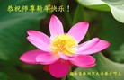 法轮功,湖南大法弟子恭祝师尊过年好(27条)
