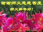 Published on 2/8/2016 ���ֹ�,��½�󷨵��ӹ�ףʦ������(34��)
