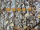 ֹ,人󷨵ӹףʦ(28)
