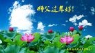 Published on 2/8/2016 ���ֹ�,��½�󷨵��ӹ�ףʦ������(34��)
