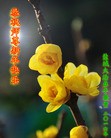 Published on 2/8/2016 ���ֹ�,��½�󷨵��ӹ�ףʦ������(34��)
