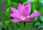 ֹ,ӱ󷨵ӹףʦ(38)
