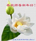Published on 2/8/2016 ���ֹ�,��½�󷨵��ӹ�ףʦ������(39��)
