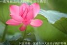 Published on 2/8/2016 ���ֹ�,��½�󷨵��ӹ�ףʦ������(44��)
