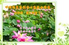 Published on 2/7/2016 ���ֹ�,��½�󷨵��ӹ�ףʦ������(30��)
