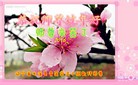 Published on 2/7/2016 ���ֹ�,��½�󷨵��ӹ�ףʦ������(30��)
