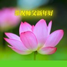 Published on 2/7/2016 ���ֹ�,��½�󷨵��ӹ�ףʦ������(30��)
