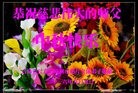 ֹ,󷨵ӹףʦ(26)
