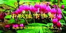 法轮功,长春大法弟子恭祝师尊中秋好(26条)
