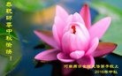 ֹ,ϴ󷨵ӹףʦ(25)

