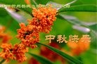法轮功,山西大法弟子恭祝师尊中秋好(22条)

