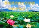 ֹ,ӱ󷨵ӹףʦ(27)