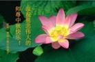 ֹ,󷨵ӹףʦ(25)