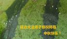 ֹ,ʡ󷨵ӹףʦ(25)