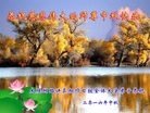 Published on 9/12/2016 ���ֹ�,��½�󷨵��ӹ�ףʦ�������(36��)
